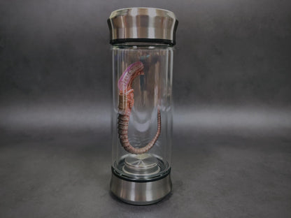 Glowing Alien Specimen Jar – Sci-Fi Creature Display Prop