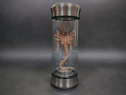 Glowing Alien Specimen Jar – Sci-Fi Creature Display Prop