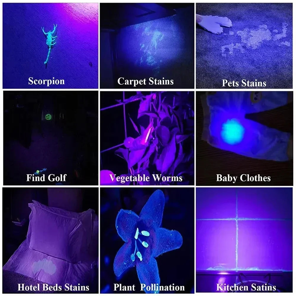 395Nm UV Blacklight Flashlight - Portable Pet Urine & Bed Bug Detector with Clip for Camping - AAA Battery Powered