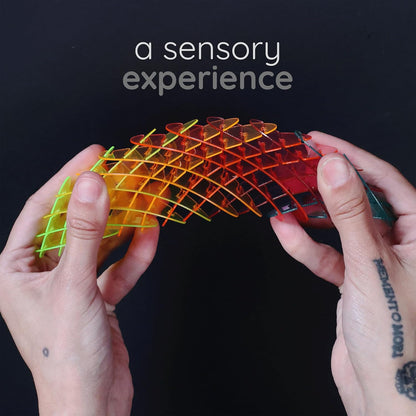 Fidget Worm Toy - Flexible 3D Sensory Slug for Stress Relief and Focus - Perfect for Kids, Teens, and Adults at Home, School, and Work
