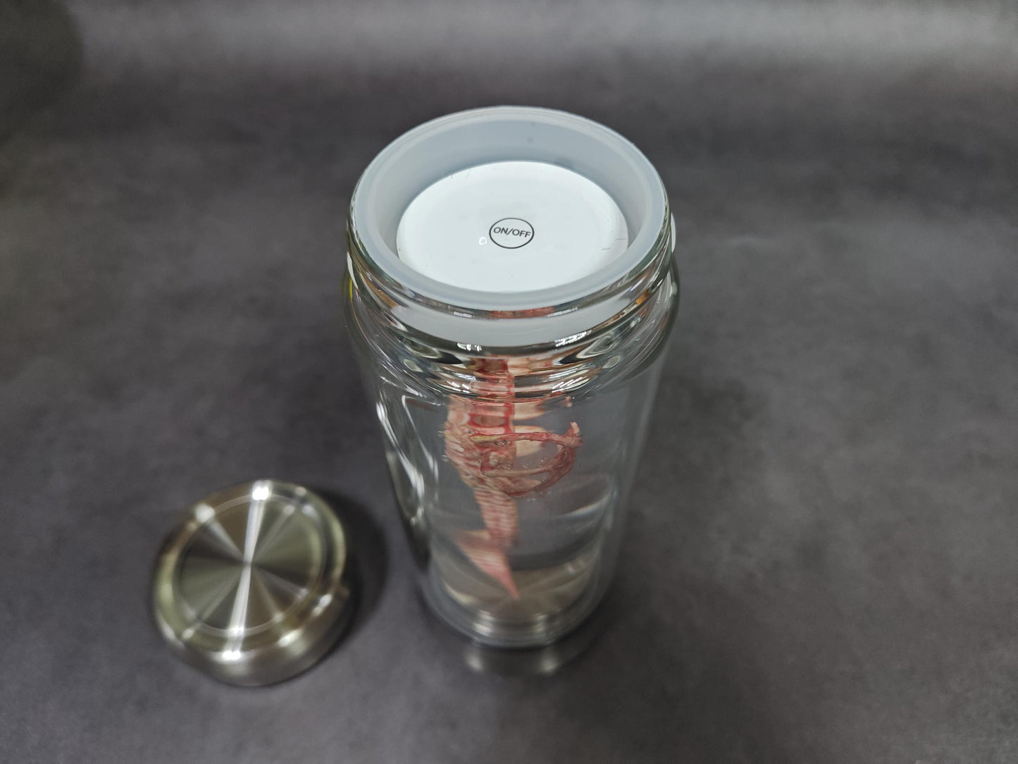 Glowing Alien Specimen Jar – Sci-Fi Creature Display Prop